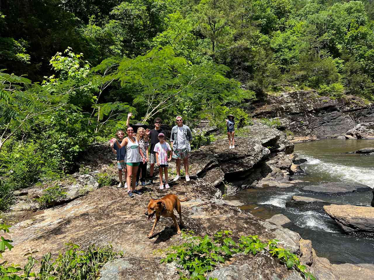 Hanging by the creek on a gorgeous day!