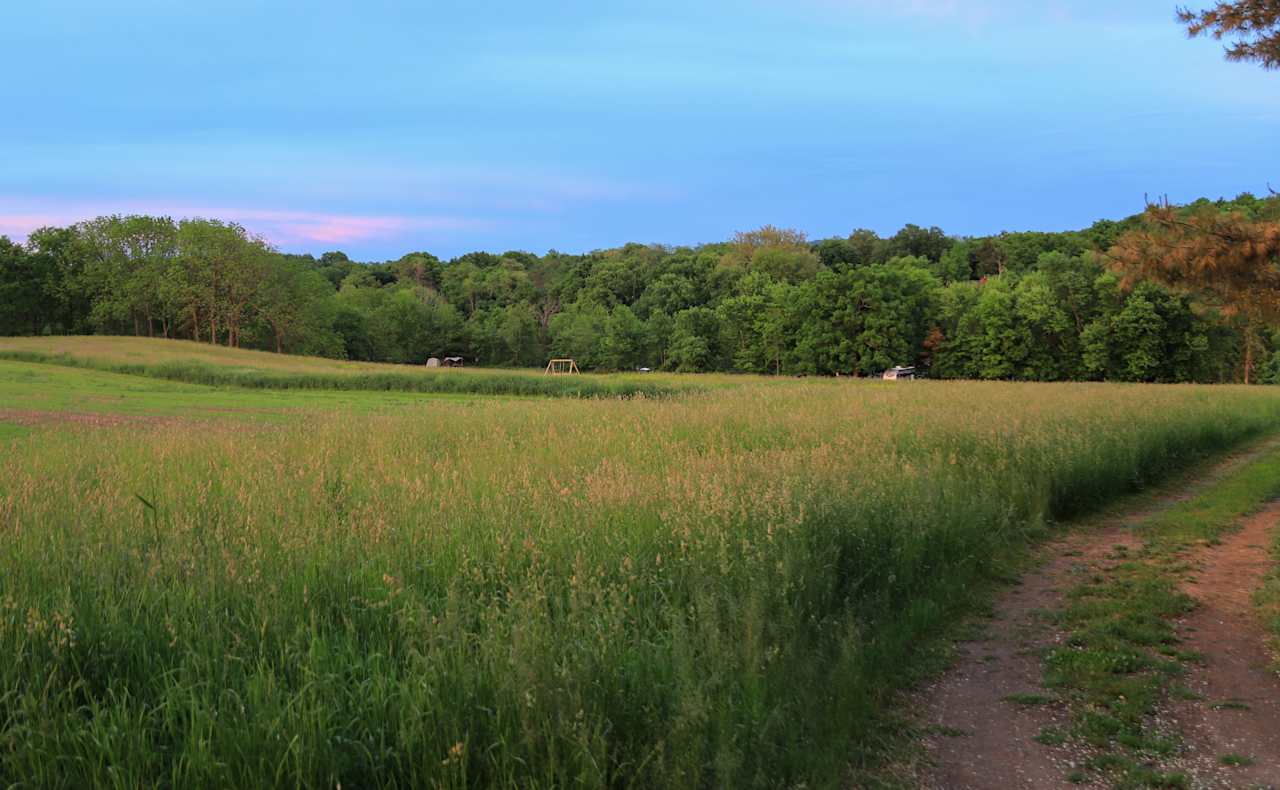 Field look towards sites 1 & 2