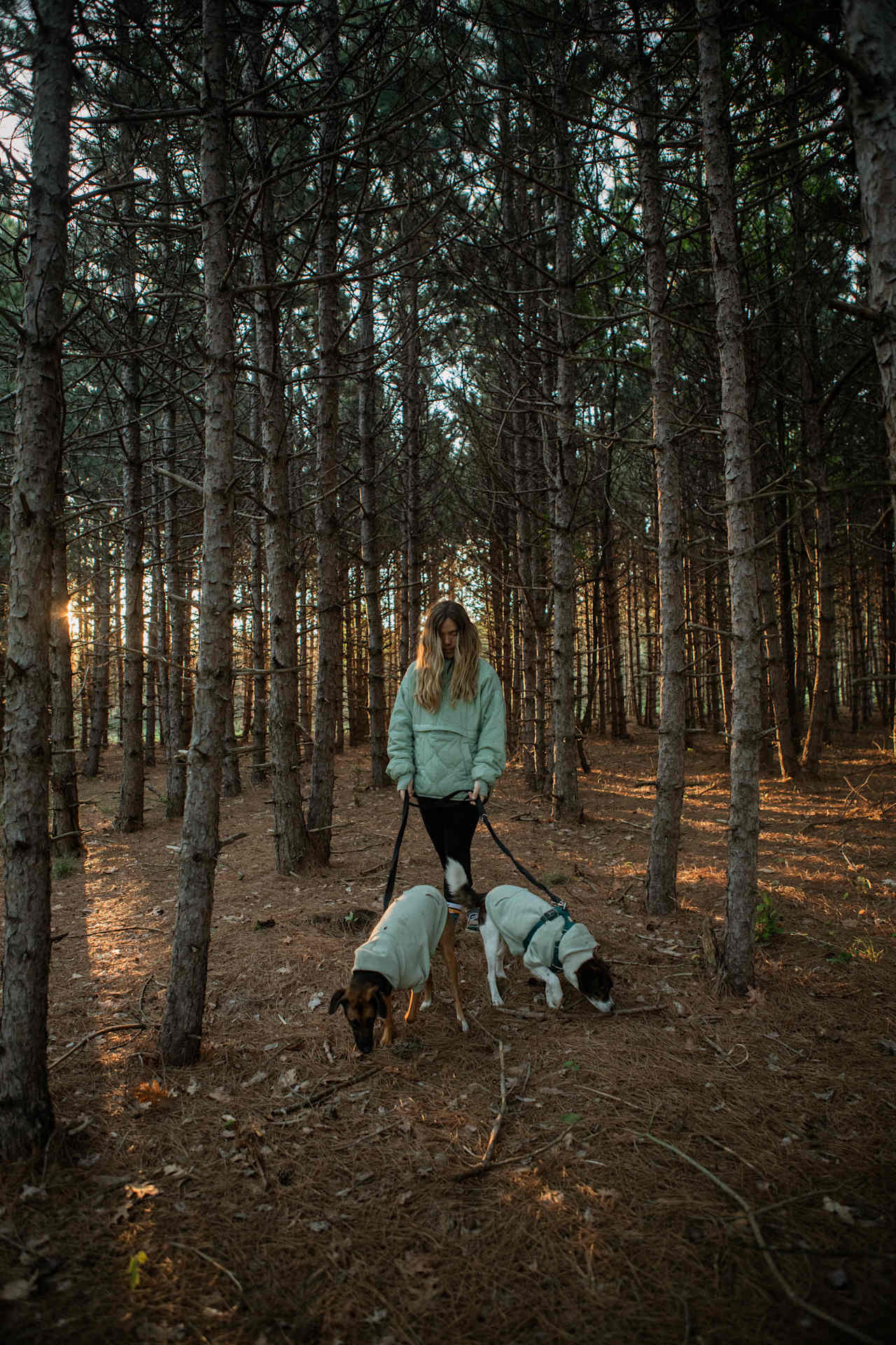 There is a beautiful line of trees that we loved walking through! The sun shines through it beautifully in the morning.