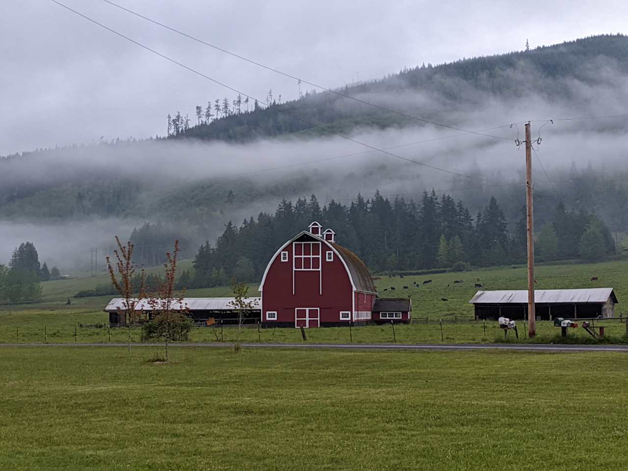 Red Barn View