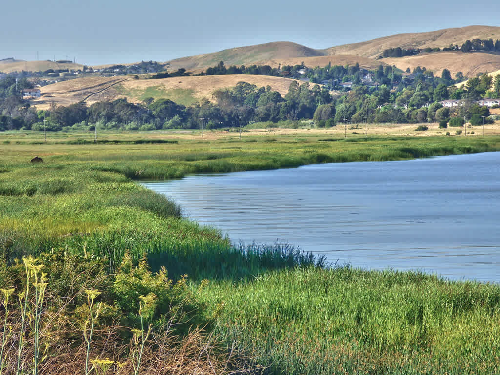 Benicia State Recreation Area