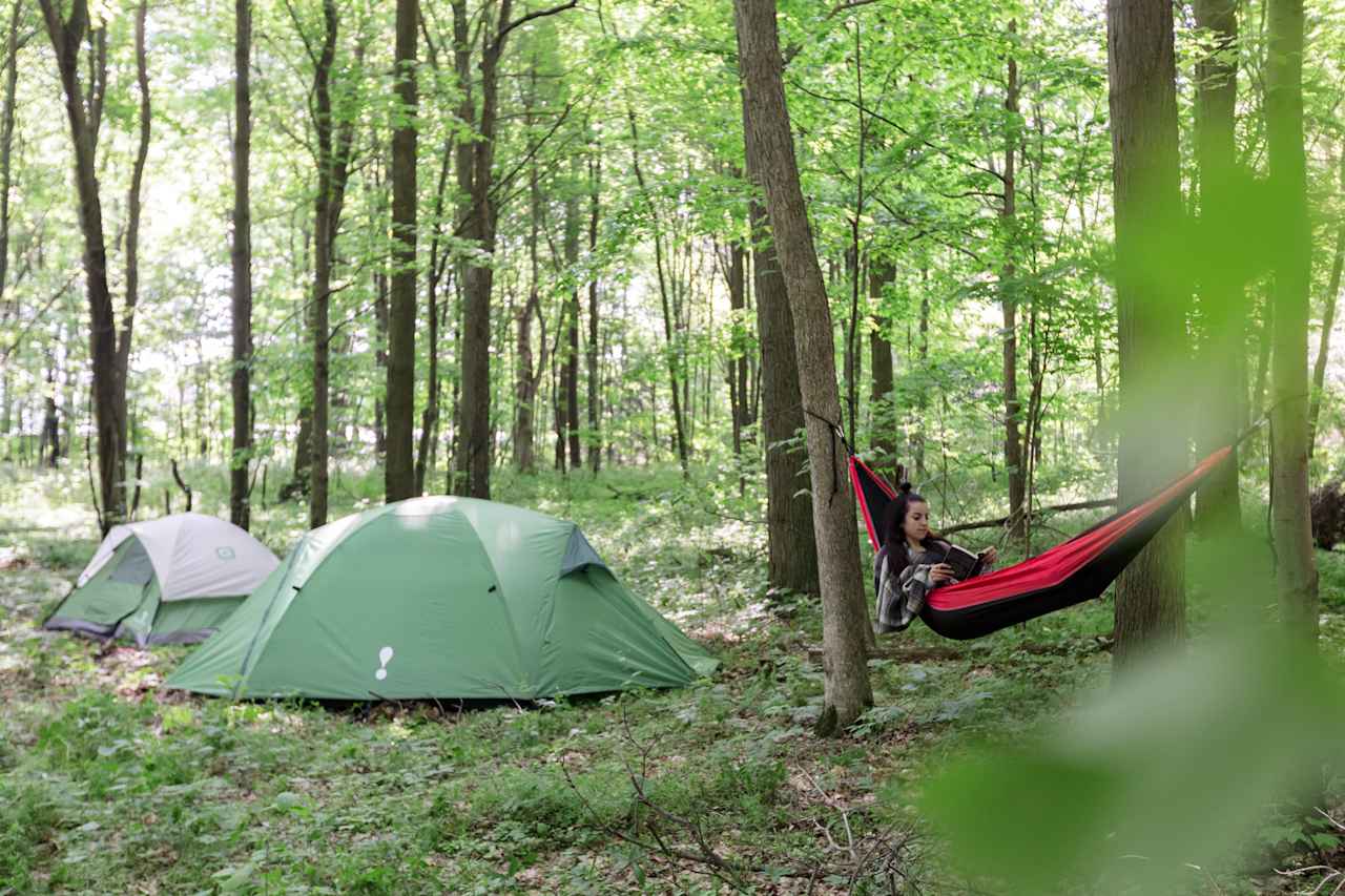 All the sites have plenty of trees for hanging a hammock or two... or three. 