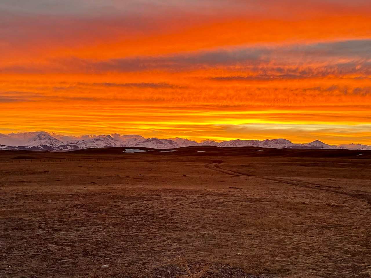 Hoodoo Farms