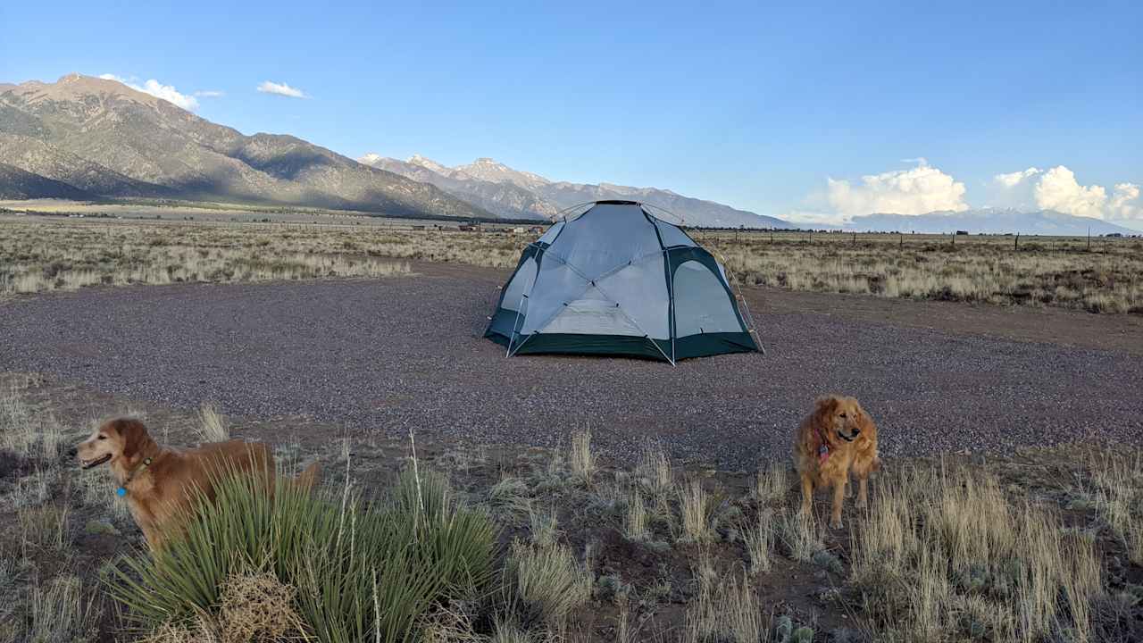 Pets allowed off leash under control in and around site.