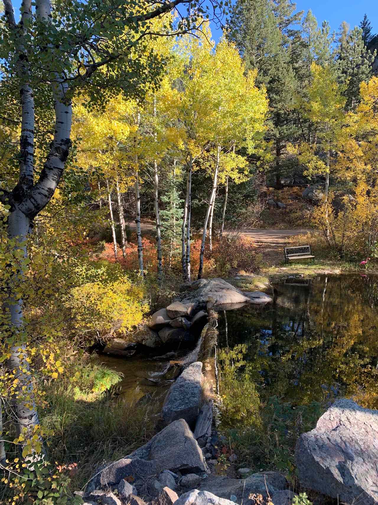 Bliss Pond reflect the glory of Fall colors.