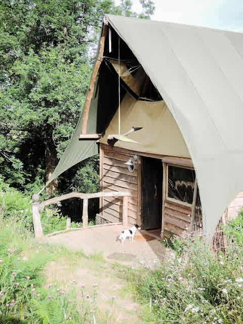 Goytree Glamping and Treehouses