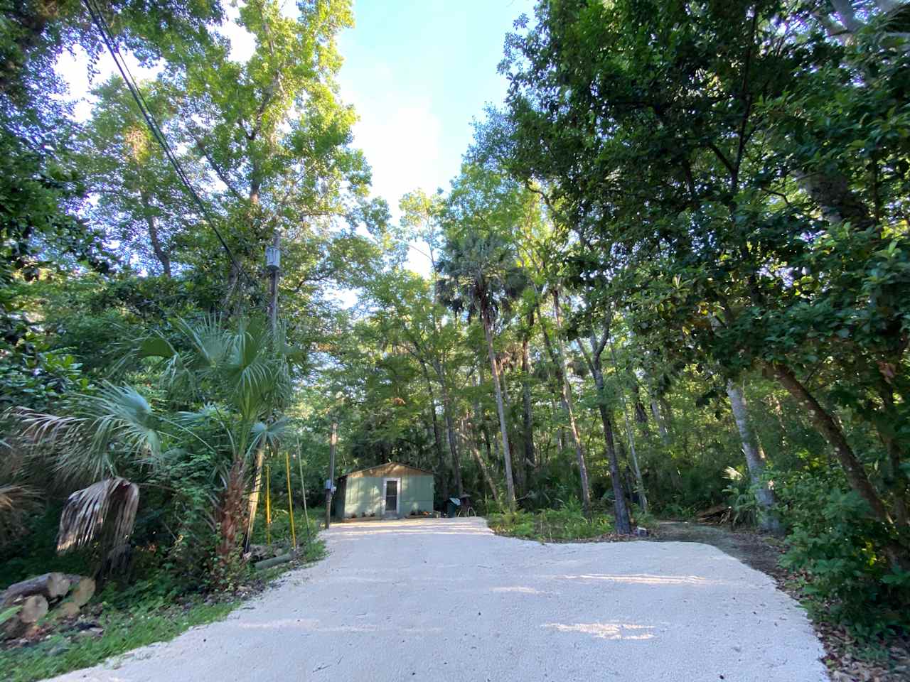 Our campsite is private and nestled in what one camper described as "the Florida Jungle".