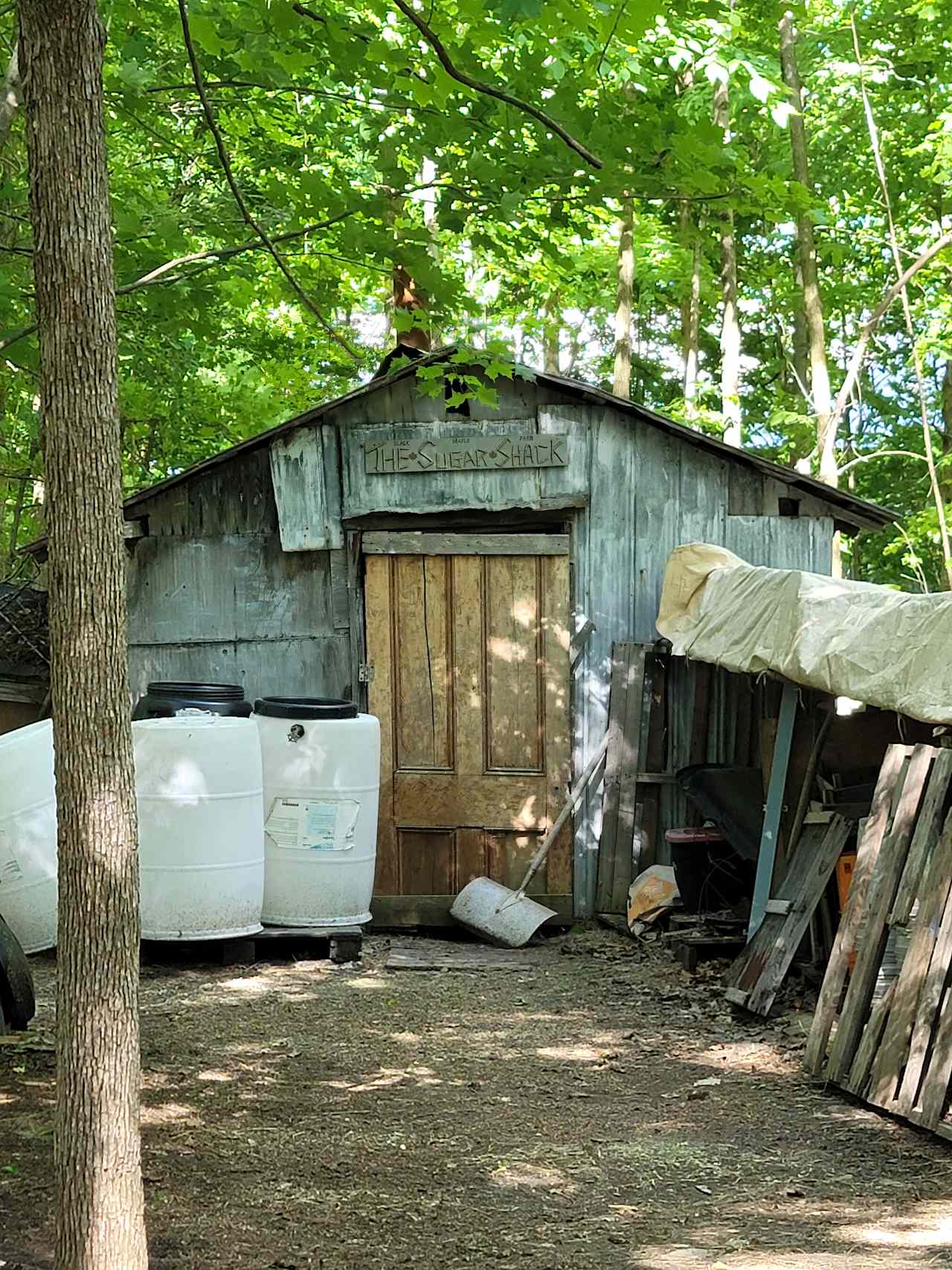 Black Maple Farm