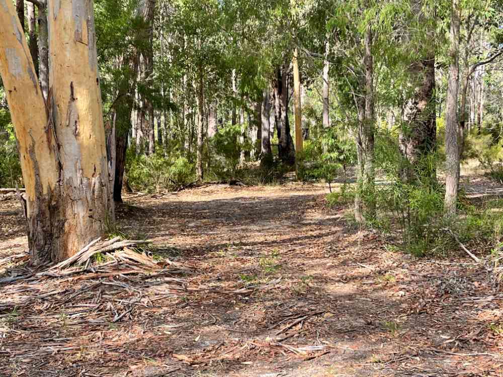 Northcliffe Deluxe Bush Camp