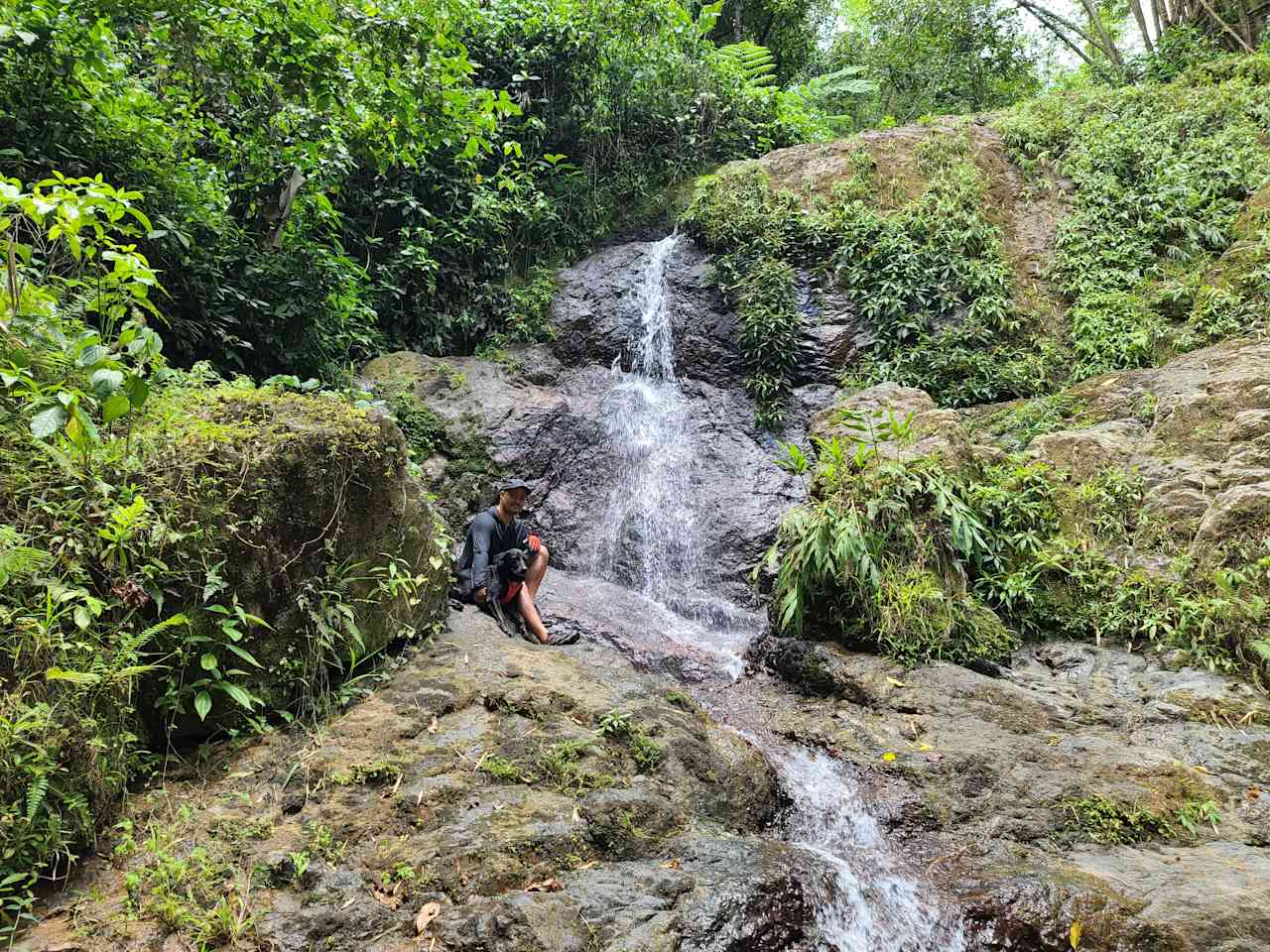 Rainforest Campground & Glamping