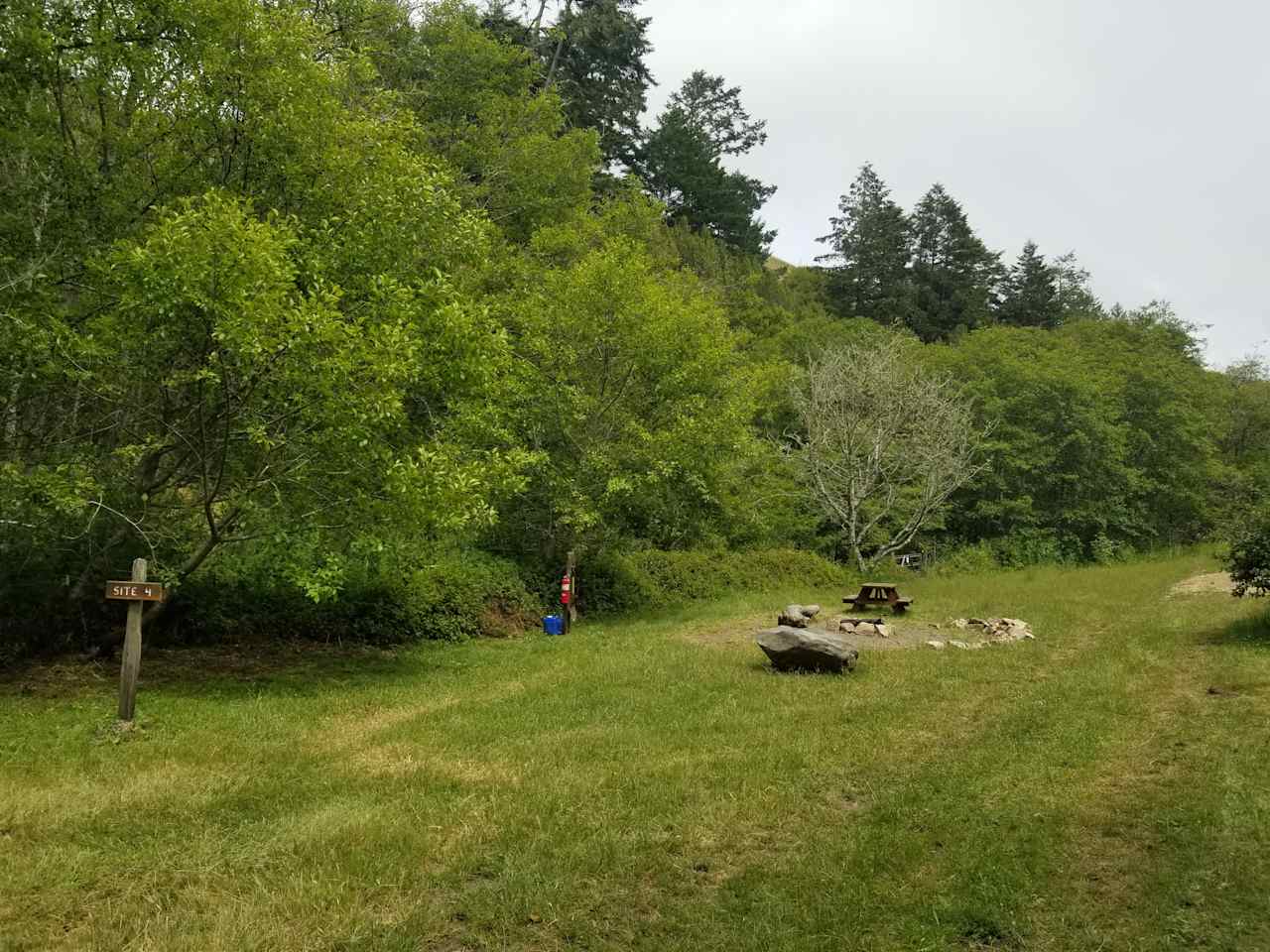 Finley Camp