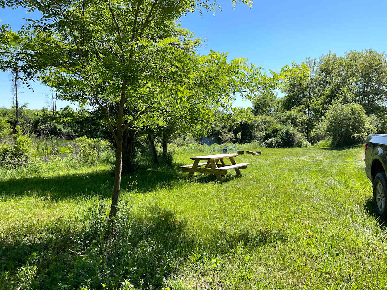 The pond site flat and just off the dirt road and suitable for a camper van or possibly an rv. 