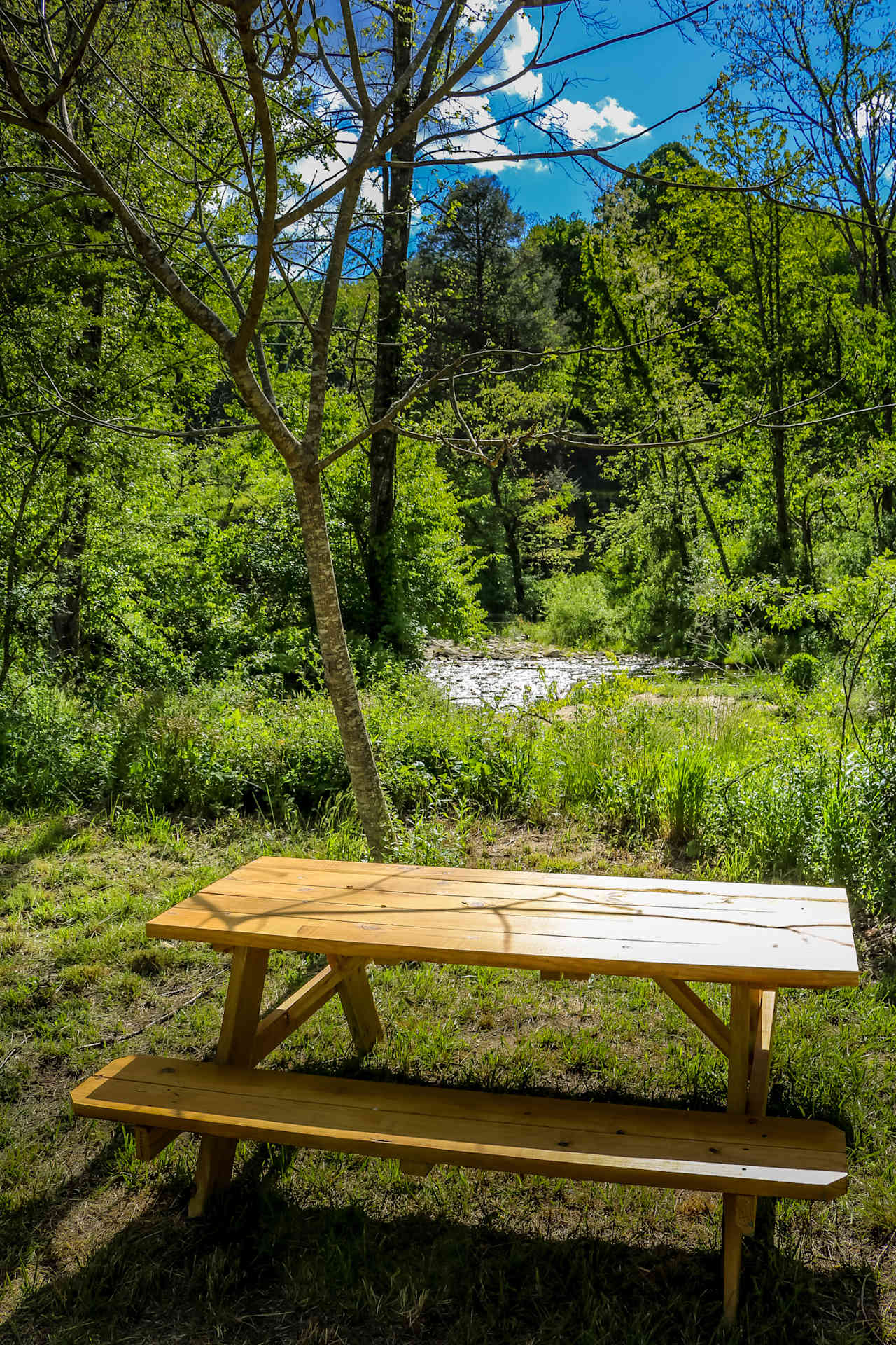 Picnic table