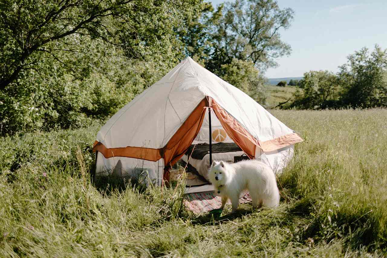 We loved our tent spot tucked away behind the trees. We got a view of the cow pasture. 