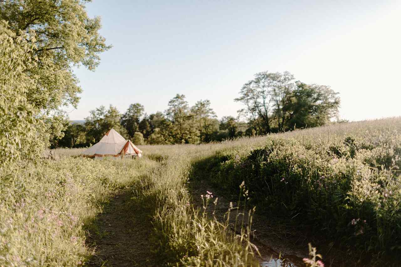 This is the pathway down to the site from the creek.