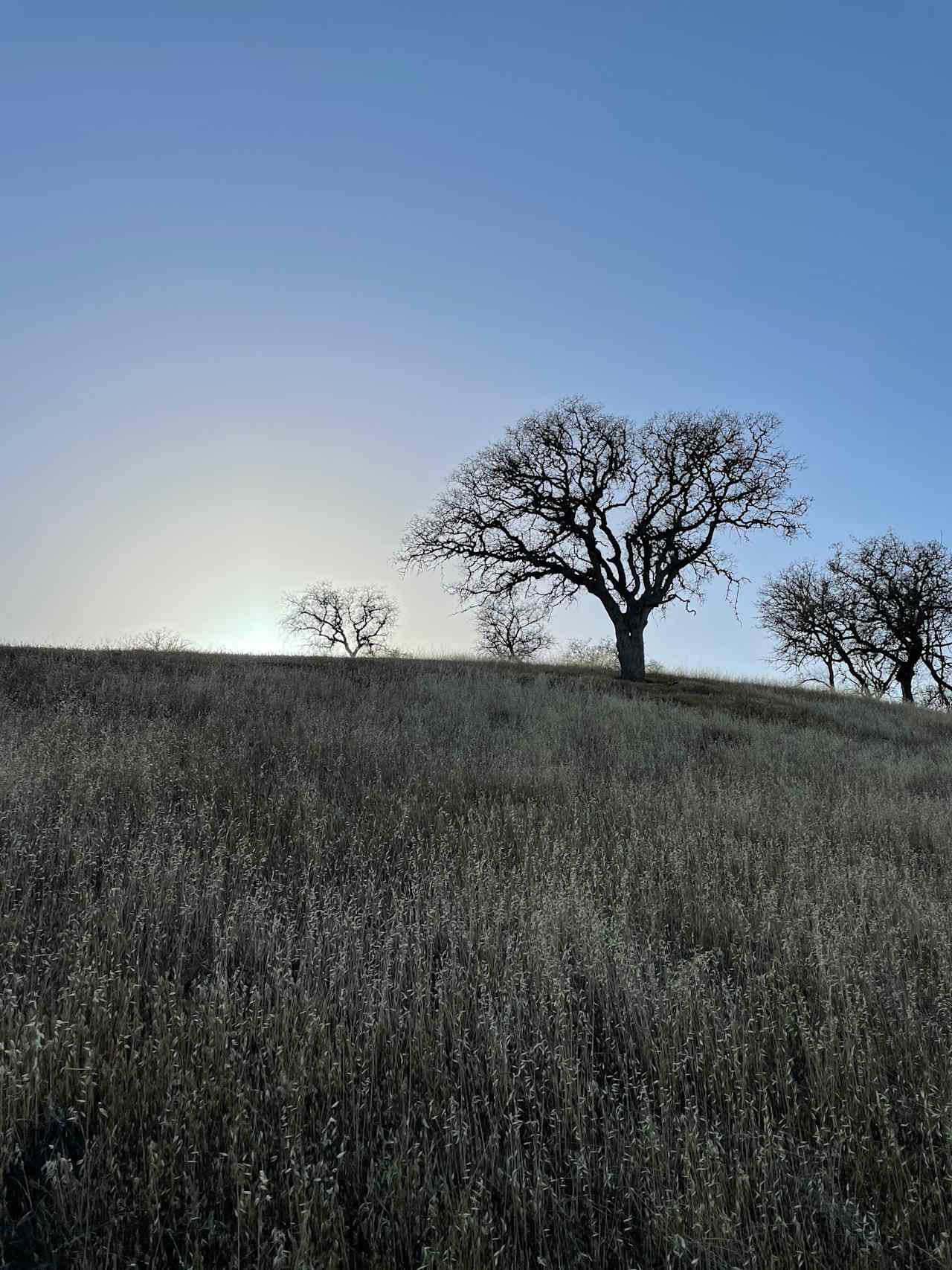 Ranch View