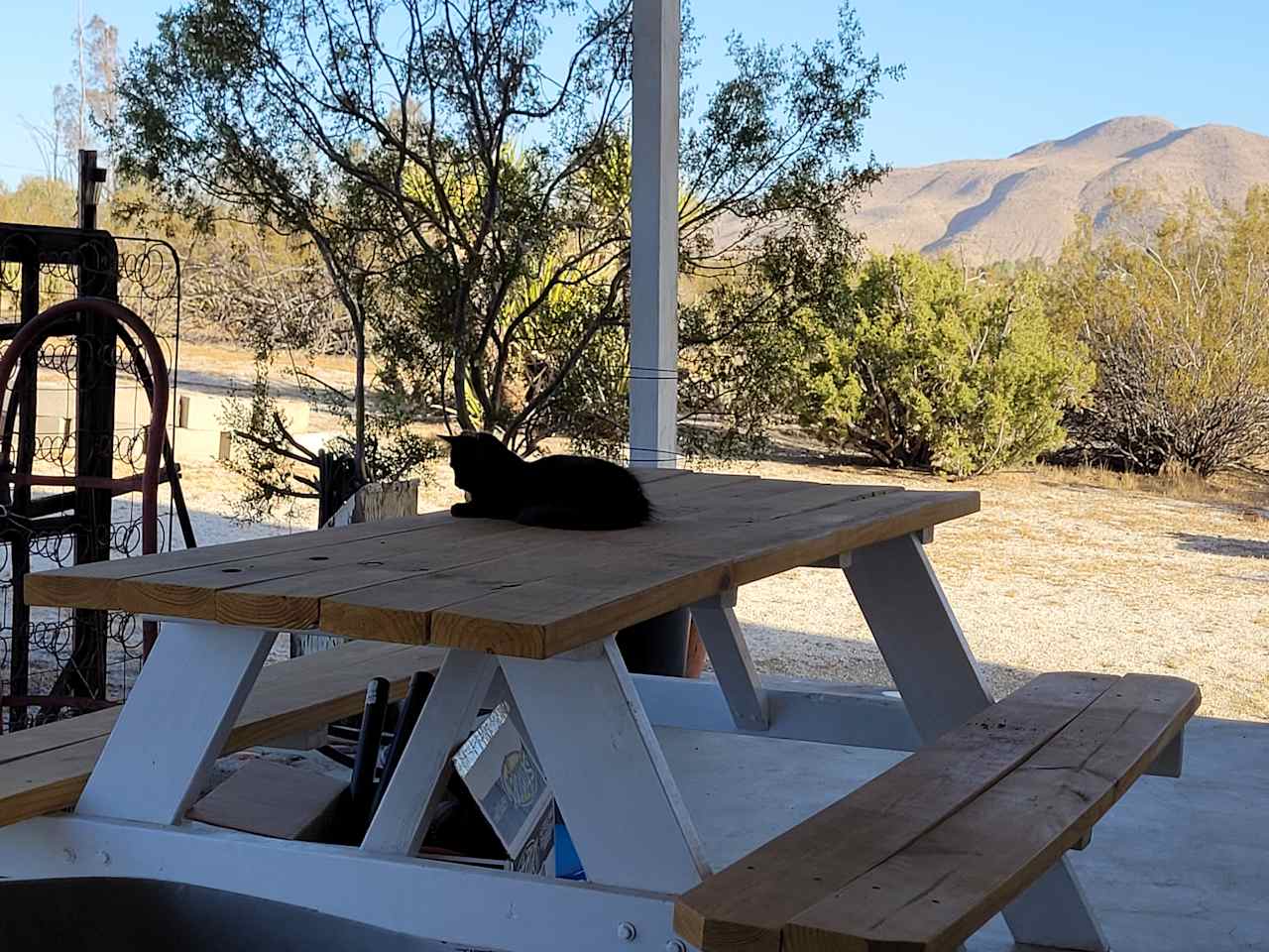 Ranch Devlin, Selling Sunsets