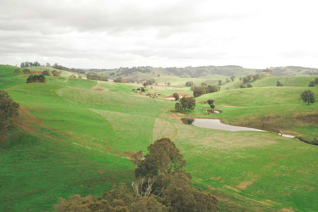 Lush rolling green hills.