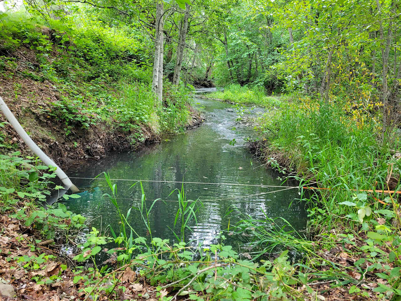 Mosier creek Camp