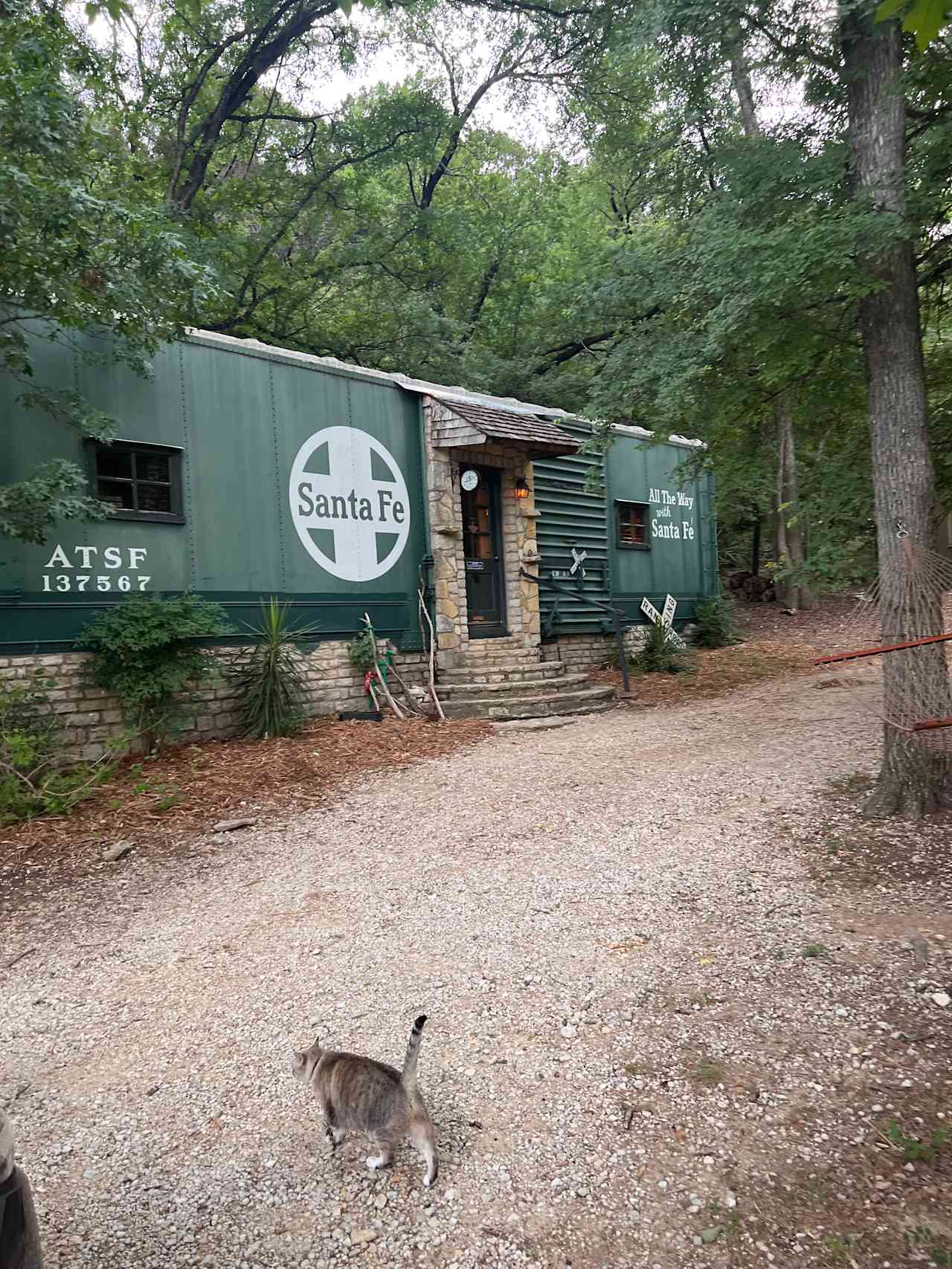 Front of the rail car glamping spot. Fat Cat hanging out already