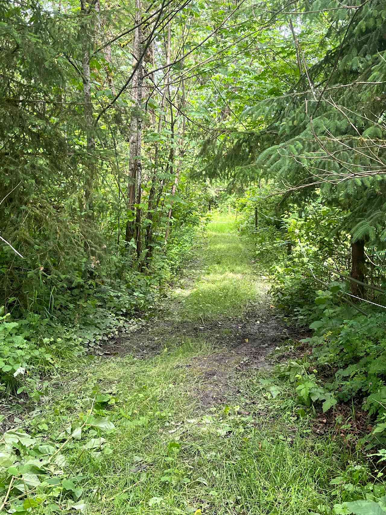 A glimpse at the hike-bike trail