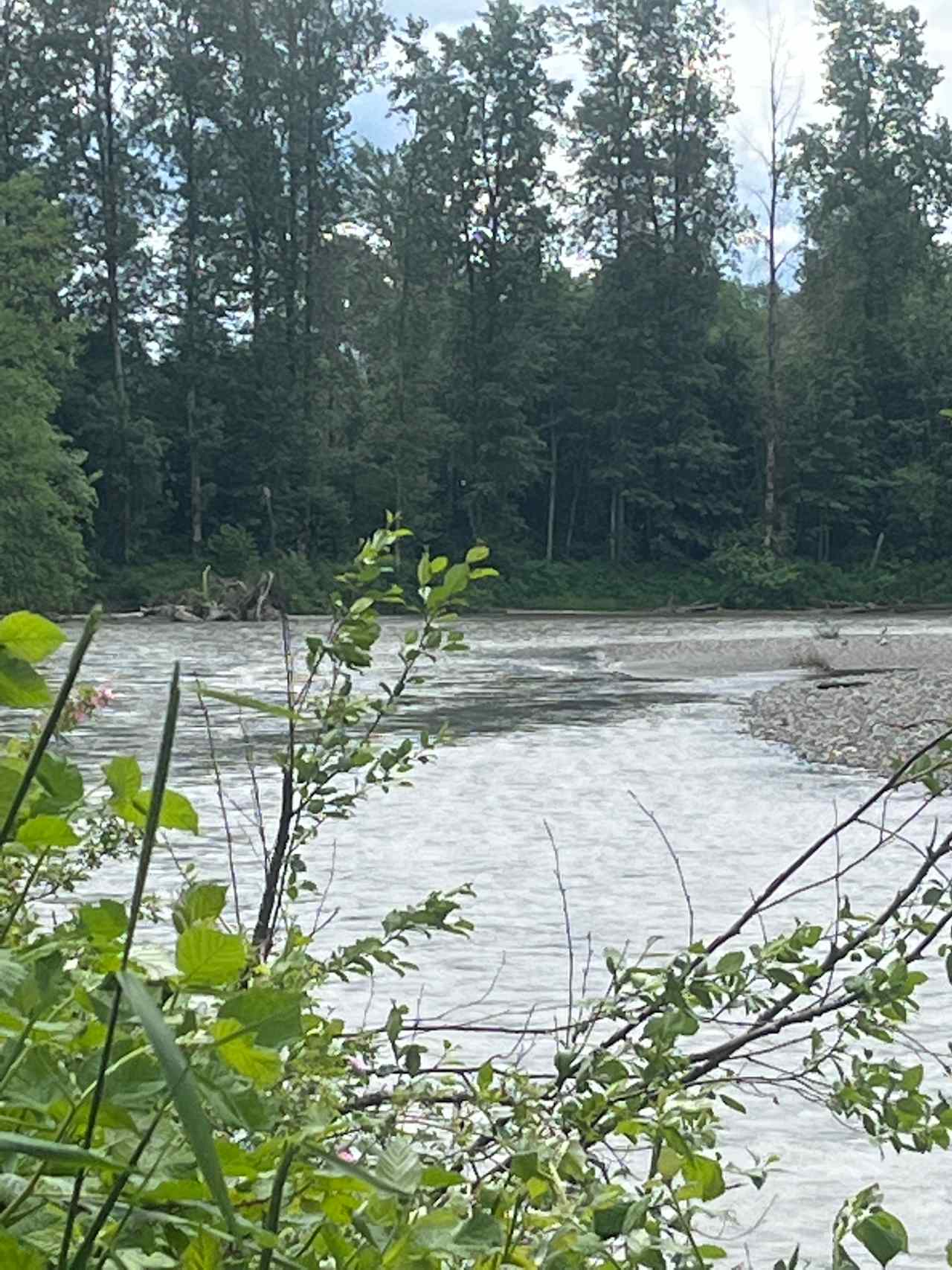 Looking at South Fork