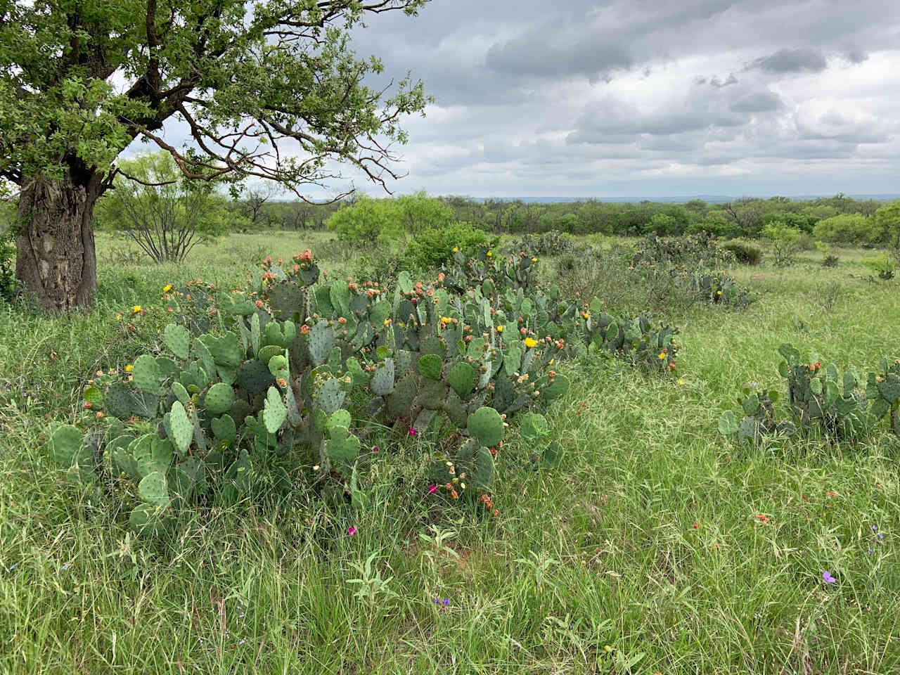 Hideaway Ranch in Llano