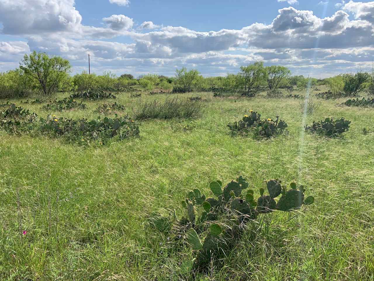 Hideaway Ranch in Llano