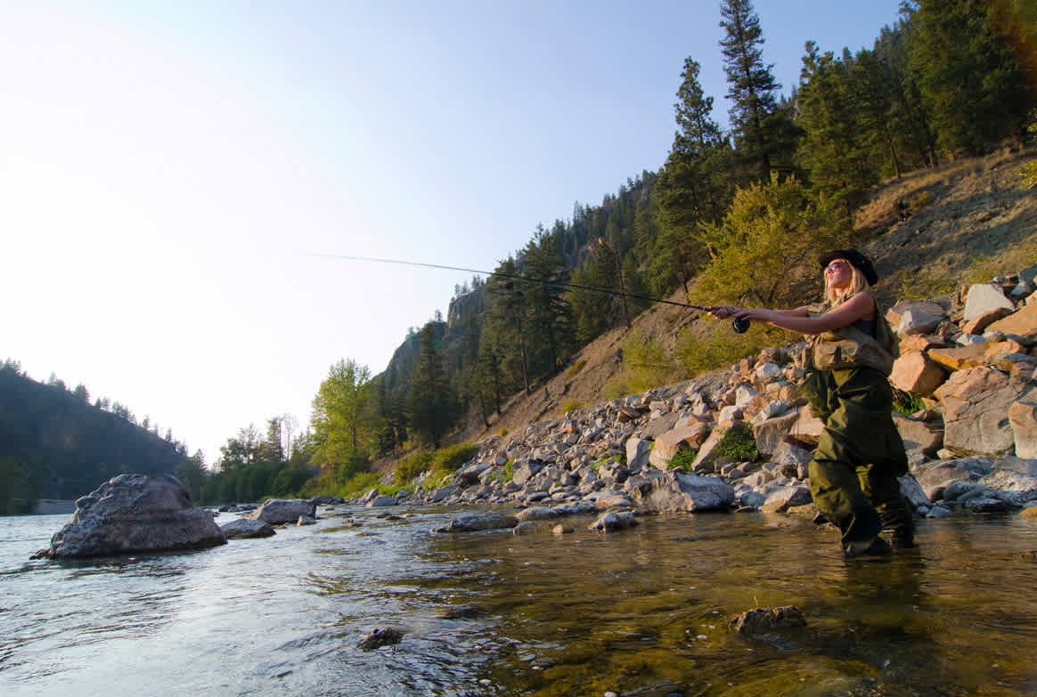 Pineview camping