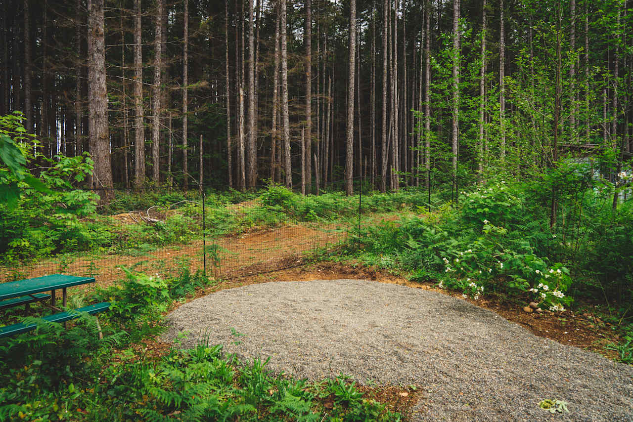 The garden site. 