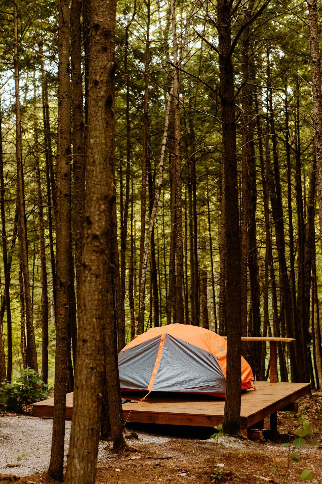 the platform for the tent 