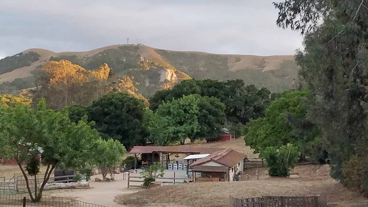 View of "Mi Querida" in Summer