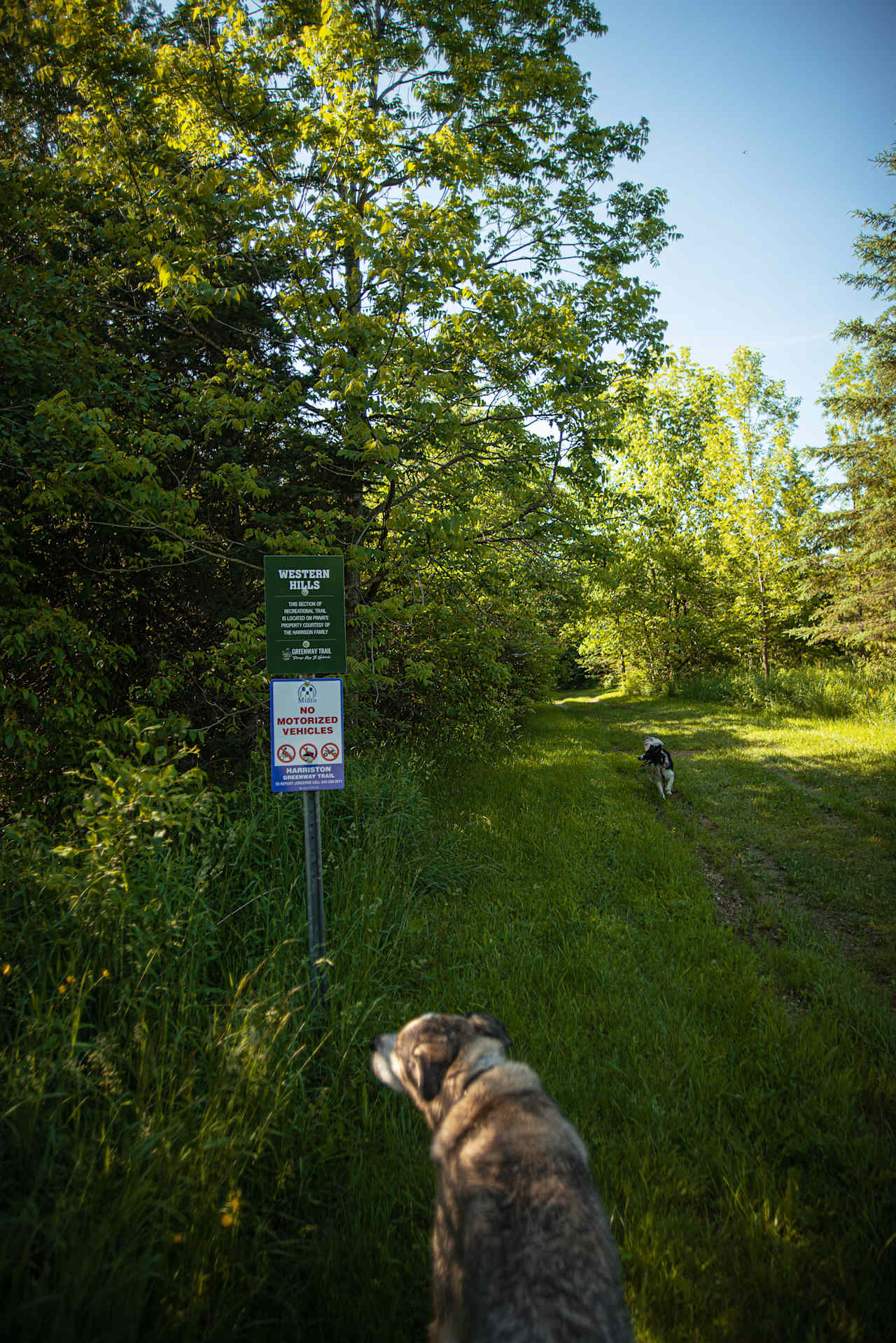 Hiking trail on property.