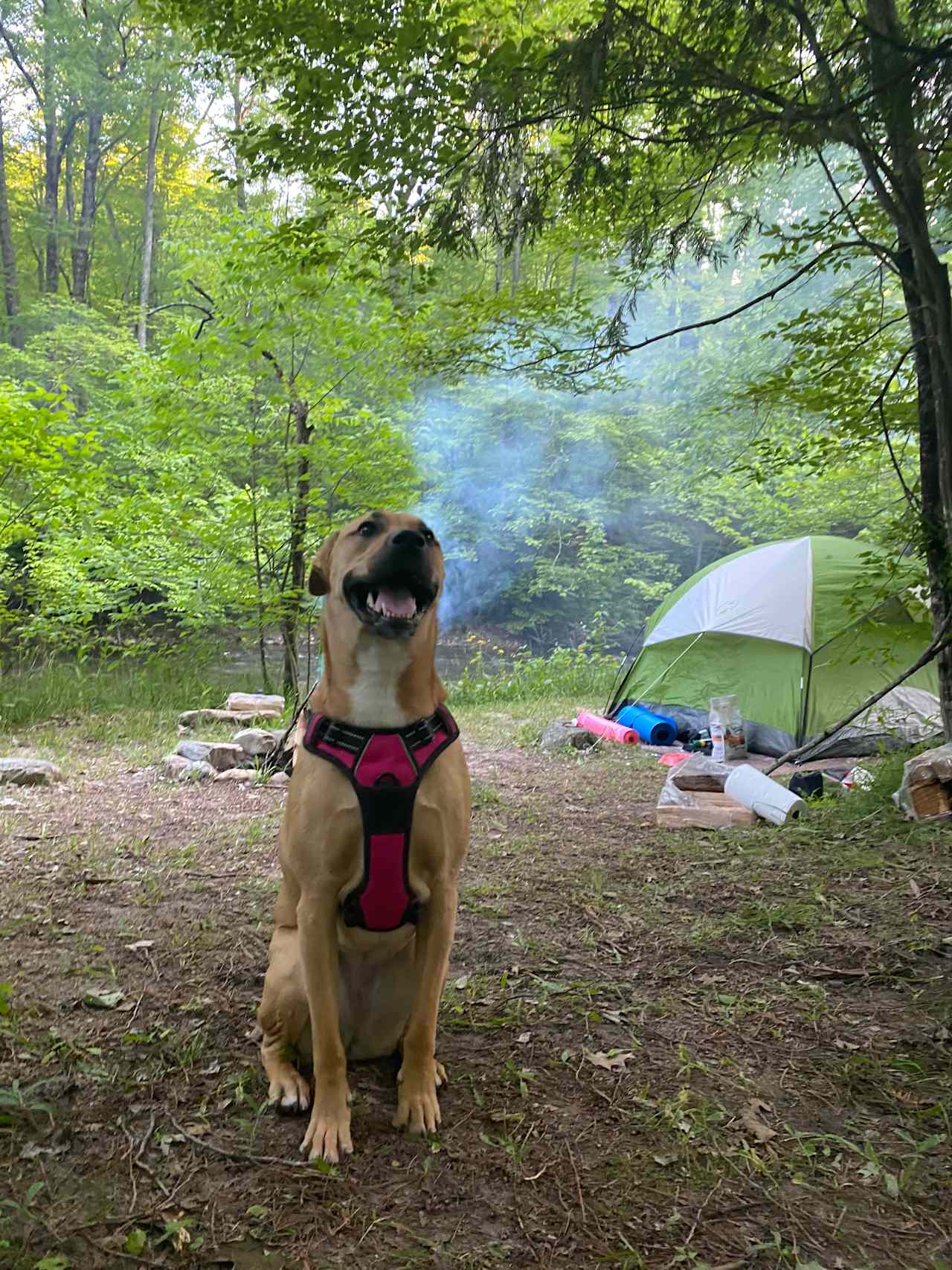 Brookhollow Riverfront Campsite