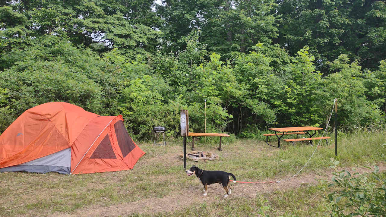 PITCH YOUR OWN TENT, begin to explore the Hocking Hills. Stargazing is amazing here on a clear night!