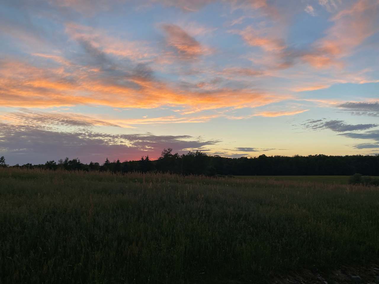 Sunset views from the Site 