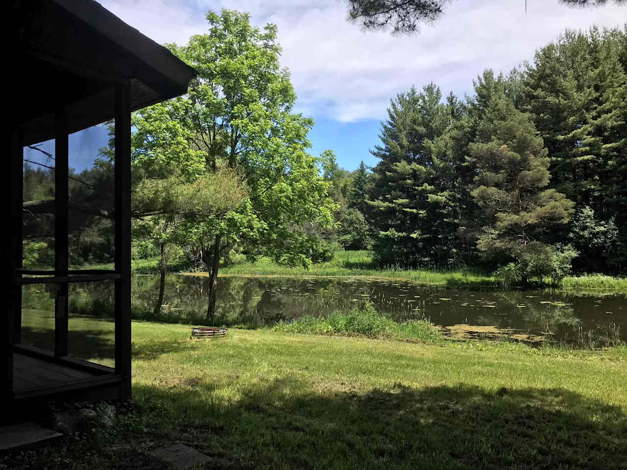 A beautiful June day at Echo Hill Wildlife Sanctuary