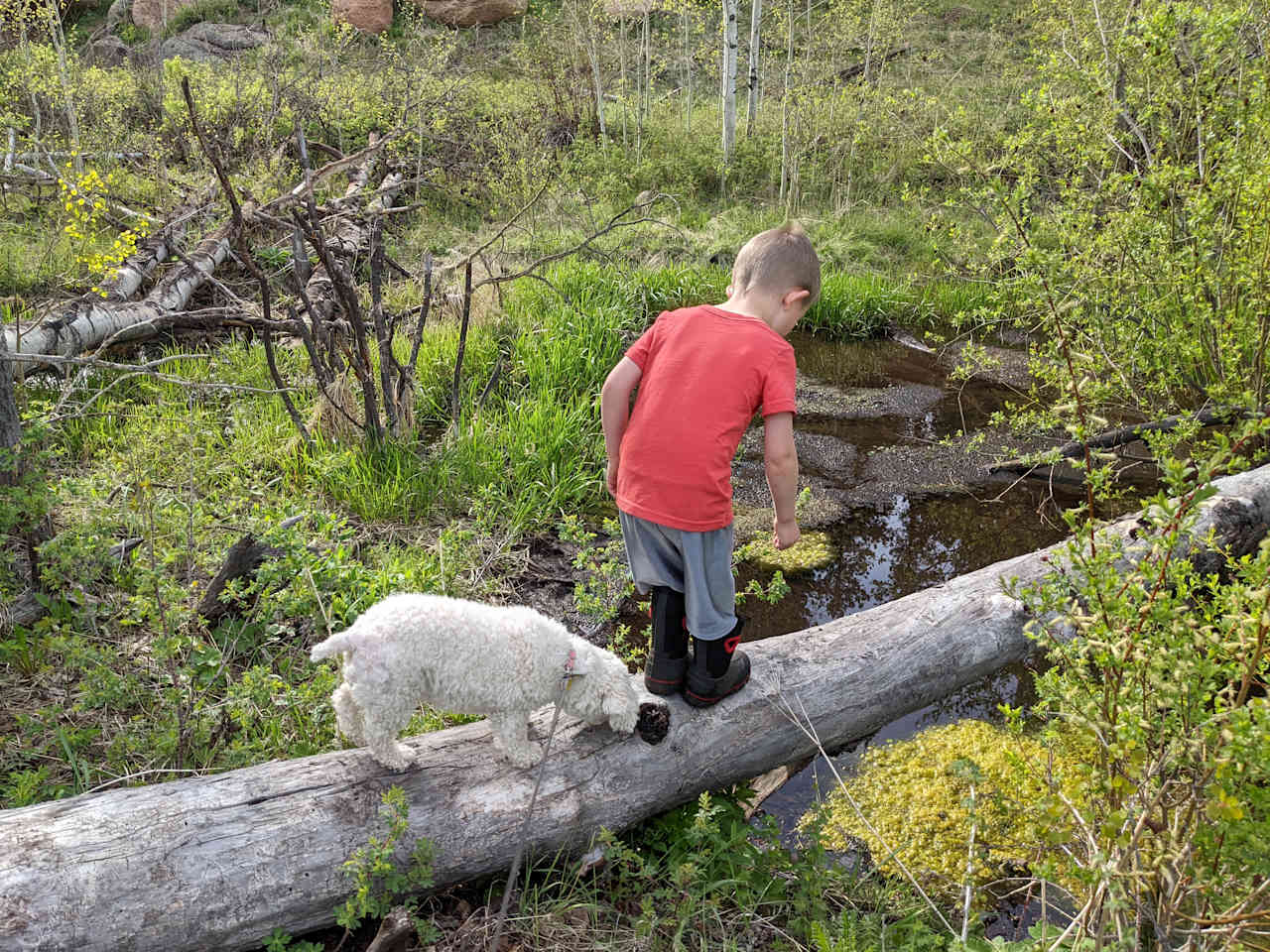 Rustic Creek Ranch