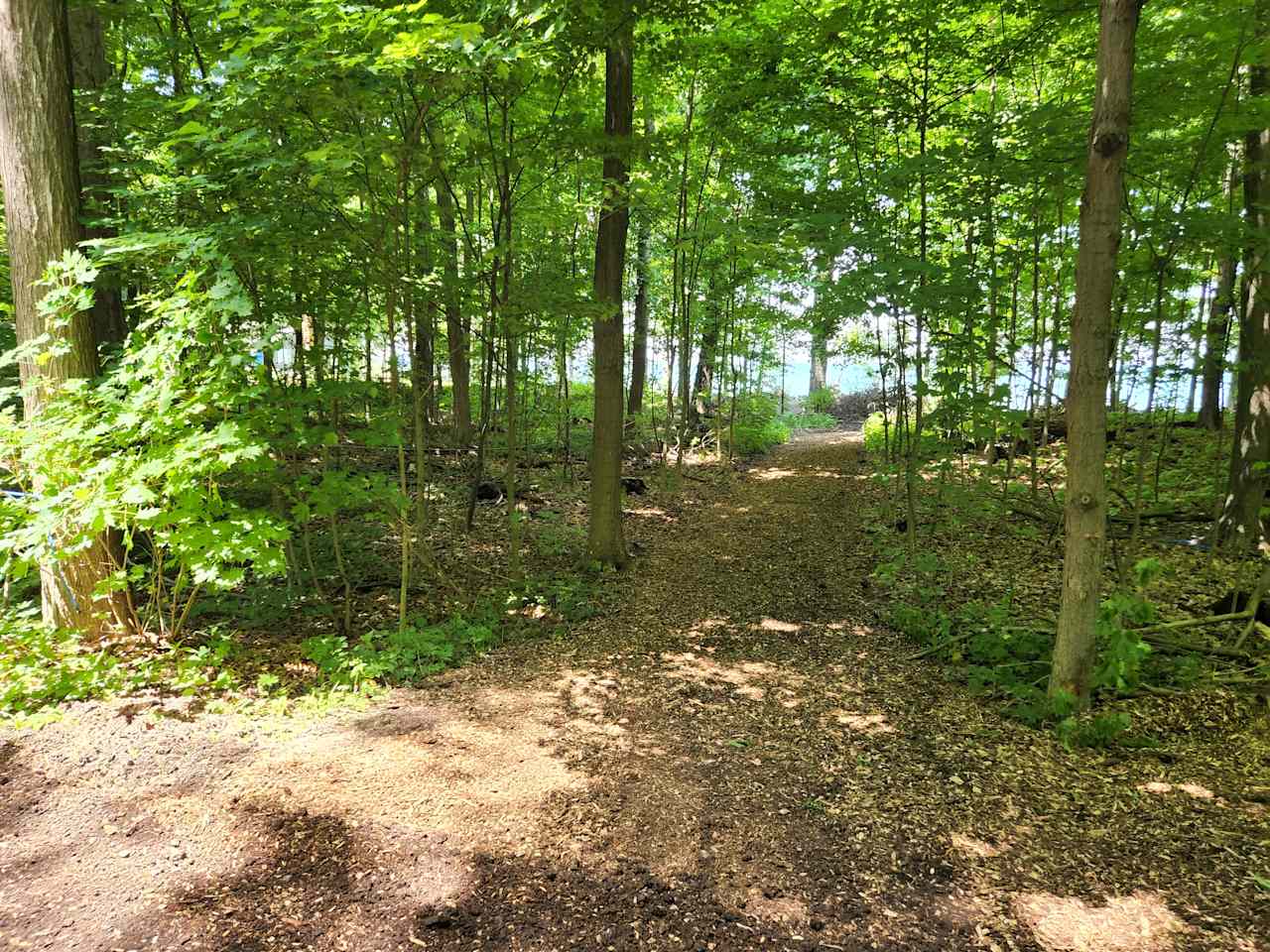 Trail to Lake Erie