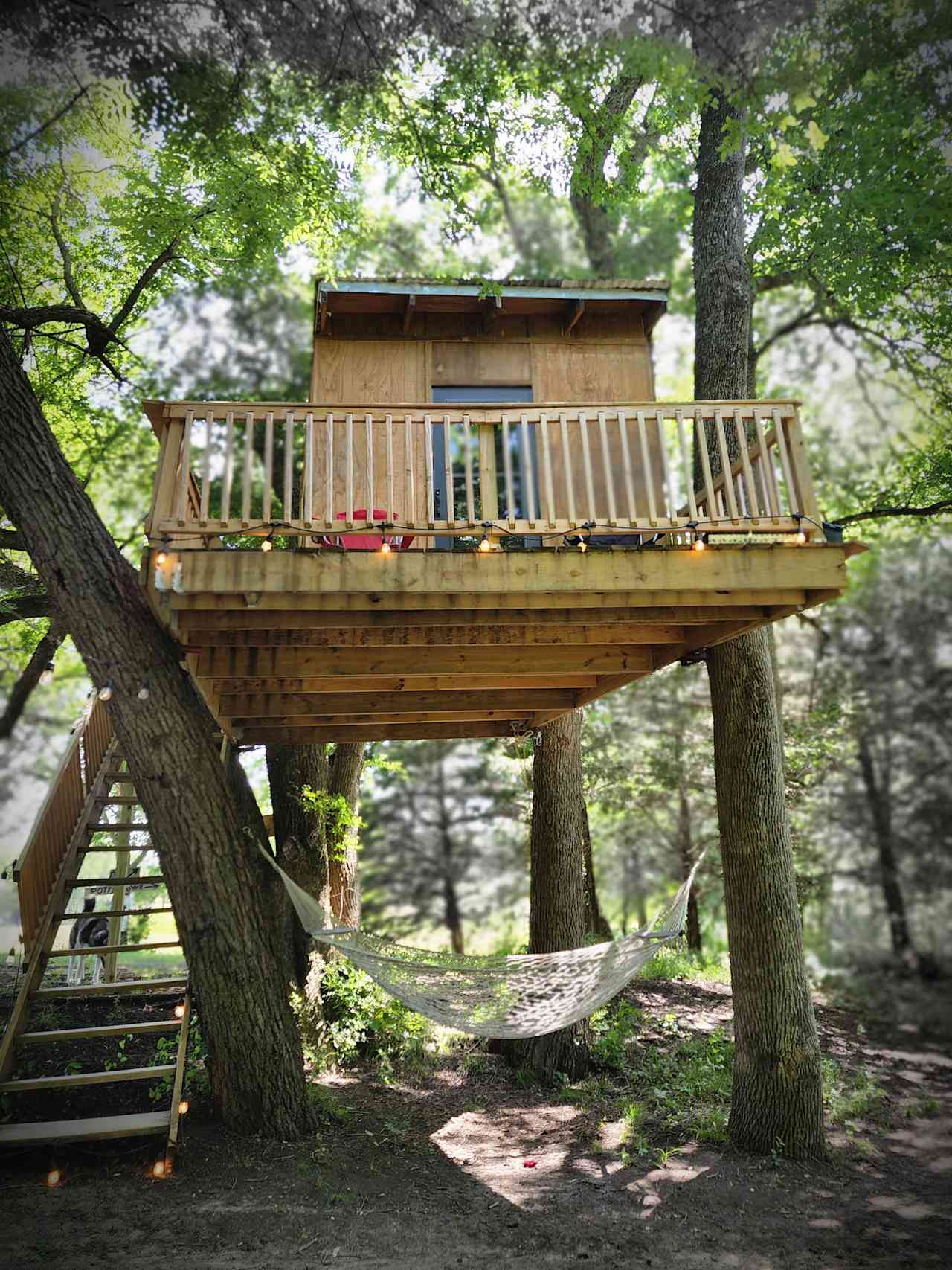 Treehouse on the Creek