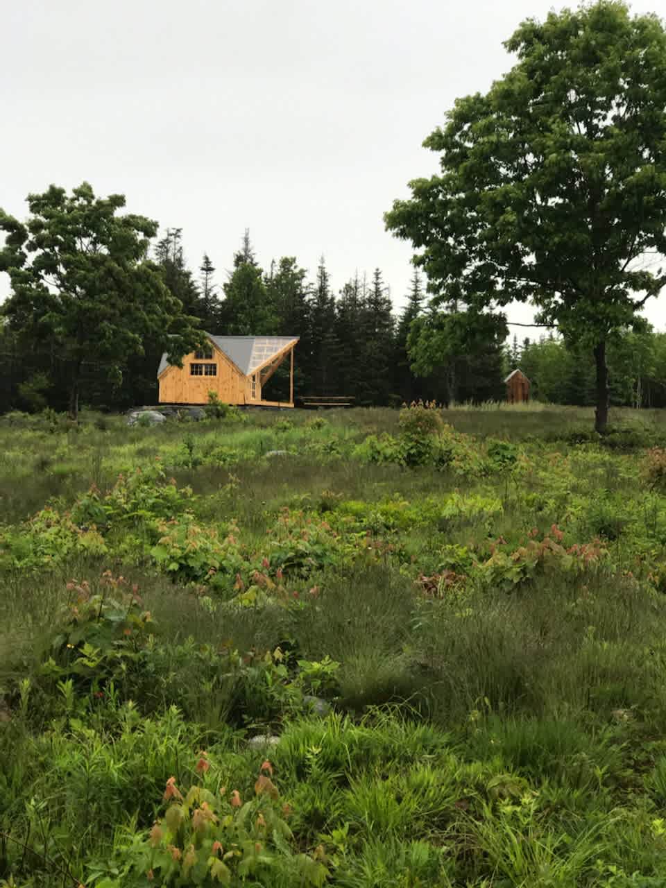 Hillside Gateway to Acadia/Schoodic