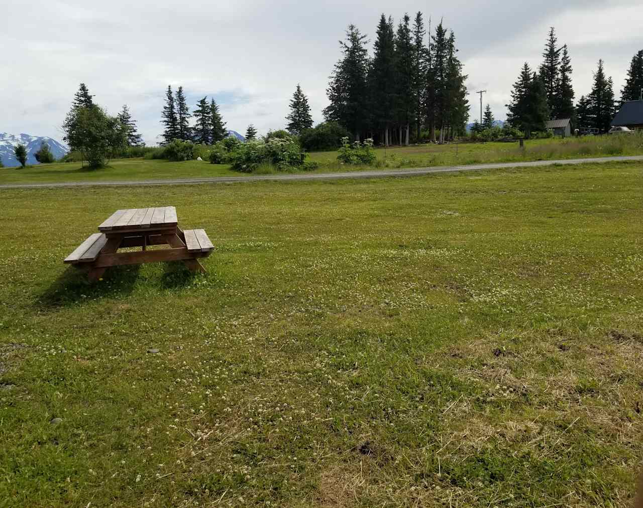 camping spaces are set up on a wide grassy area on the edge of the farm. 