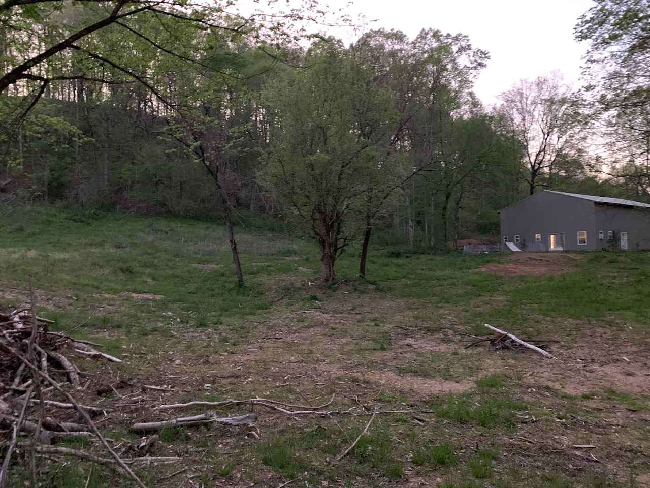 Middle of property, main house, future recreation area.