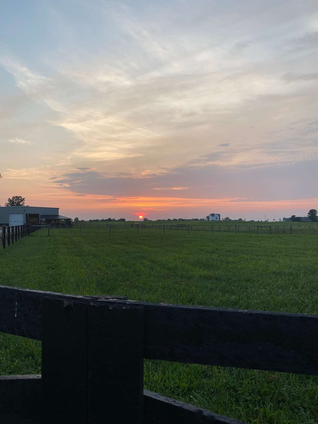 Sunset on the farm, overlooking our show cattle pastures.