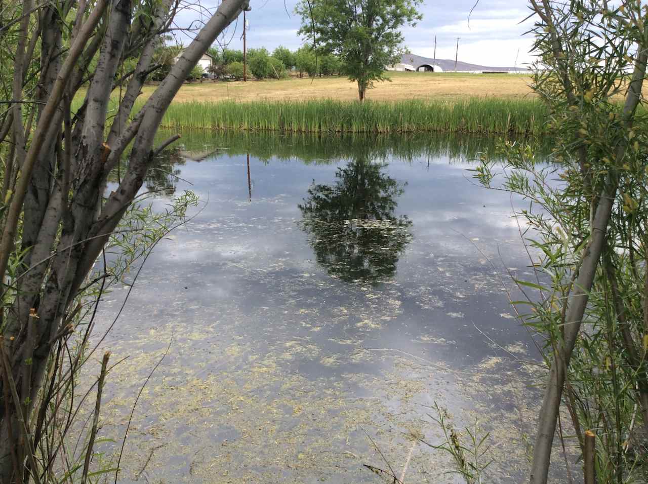 Cottonwood Country Camp