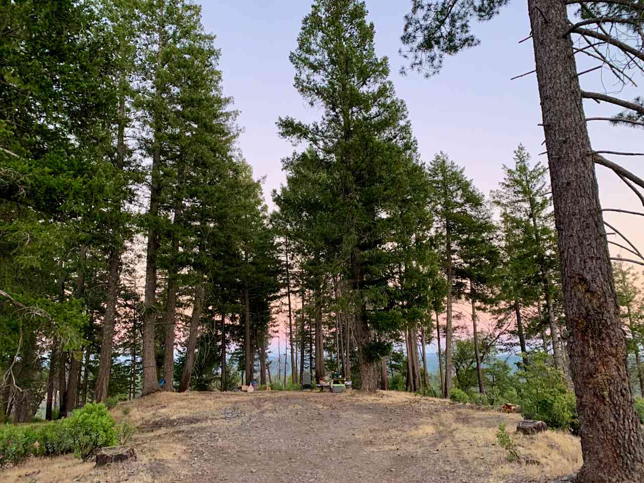 160 Acres amidst National Forest