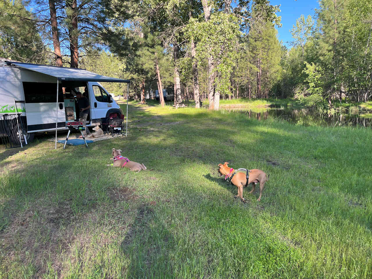 God's Country Camping