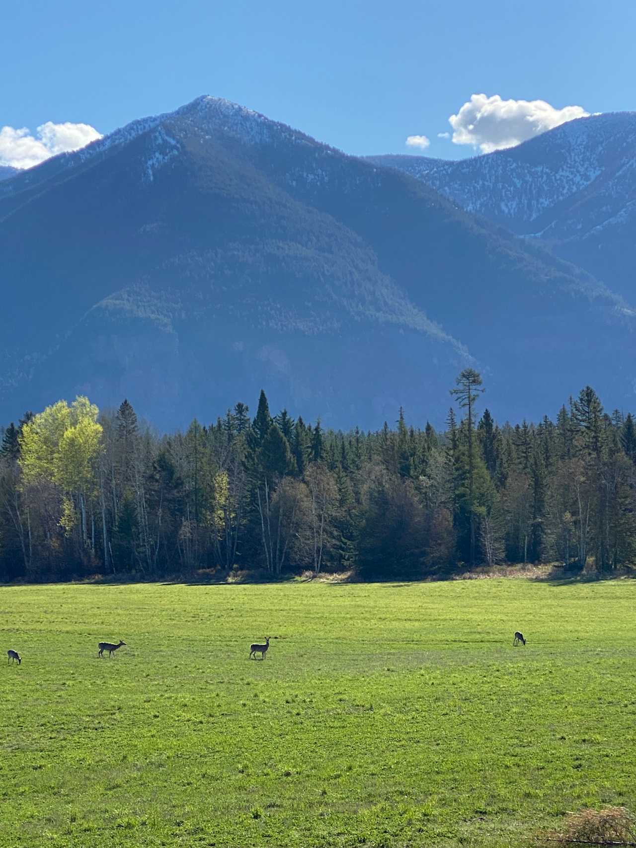 Country Setting With Mountain Views