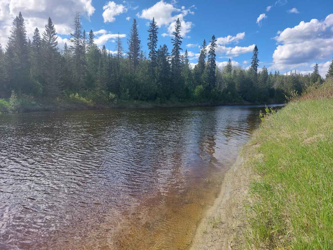 White Moose Campground (Foleyet)