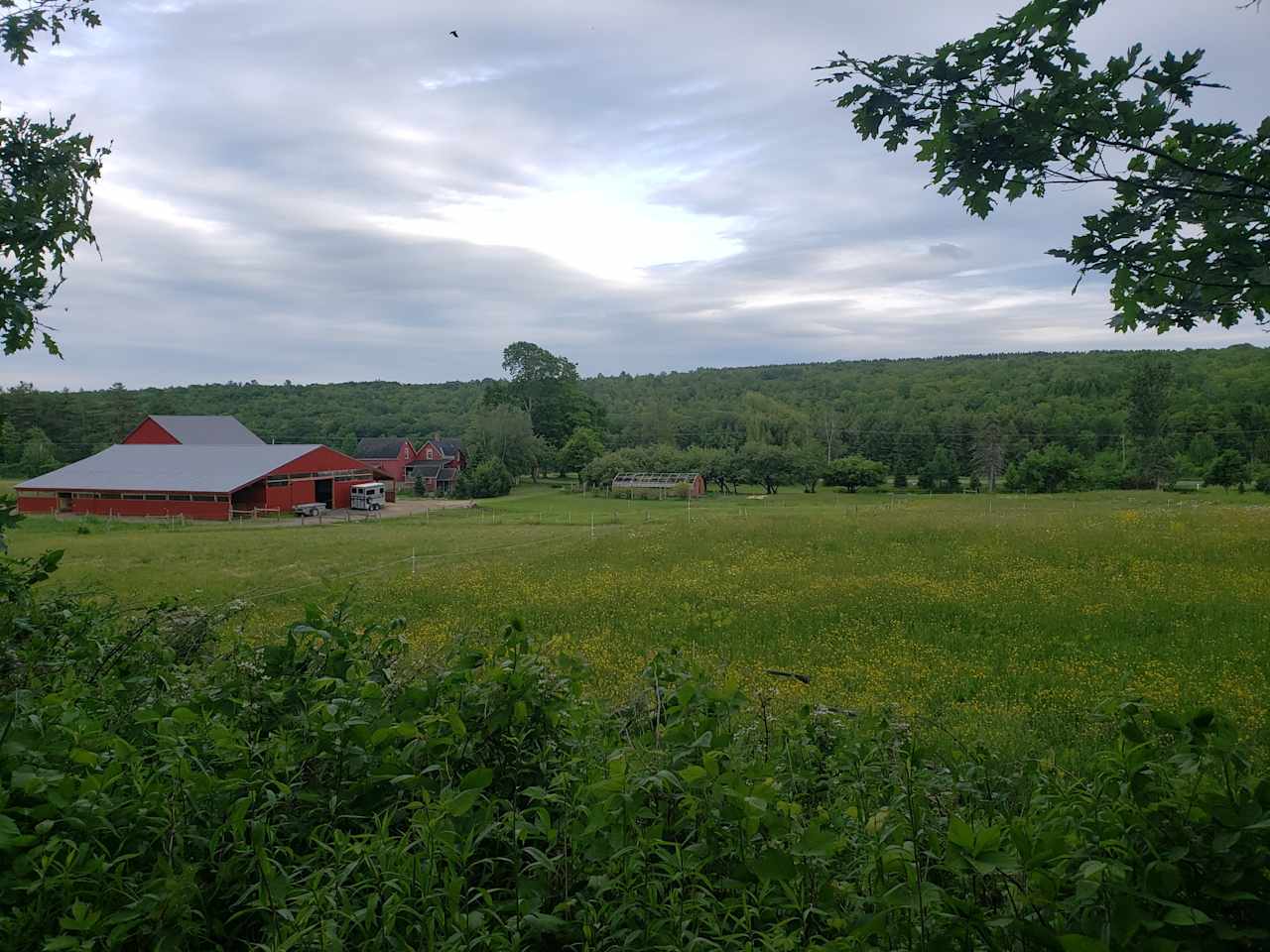 View at wooded site 2